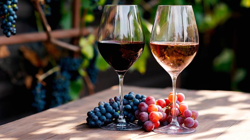 7 garnachas imprescindibles para dar la bienvenida al otoño (y no todas son tintas)