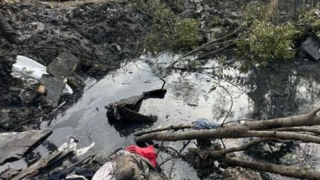 Captura de pantalla 2024-09-29 132726