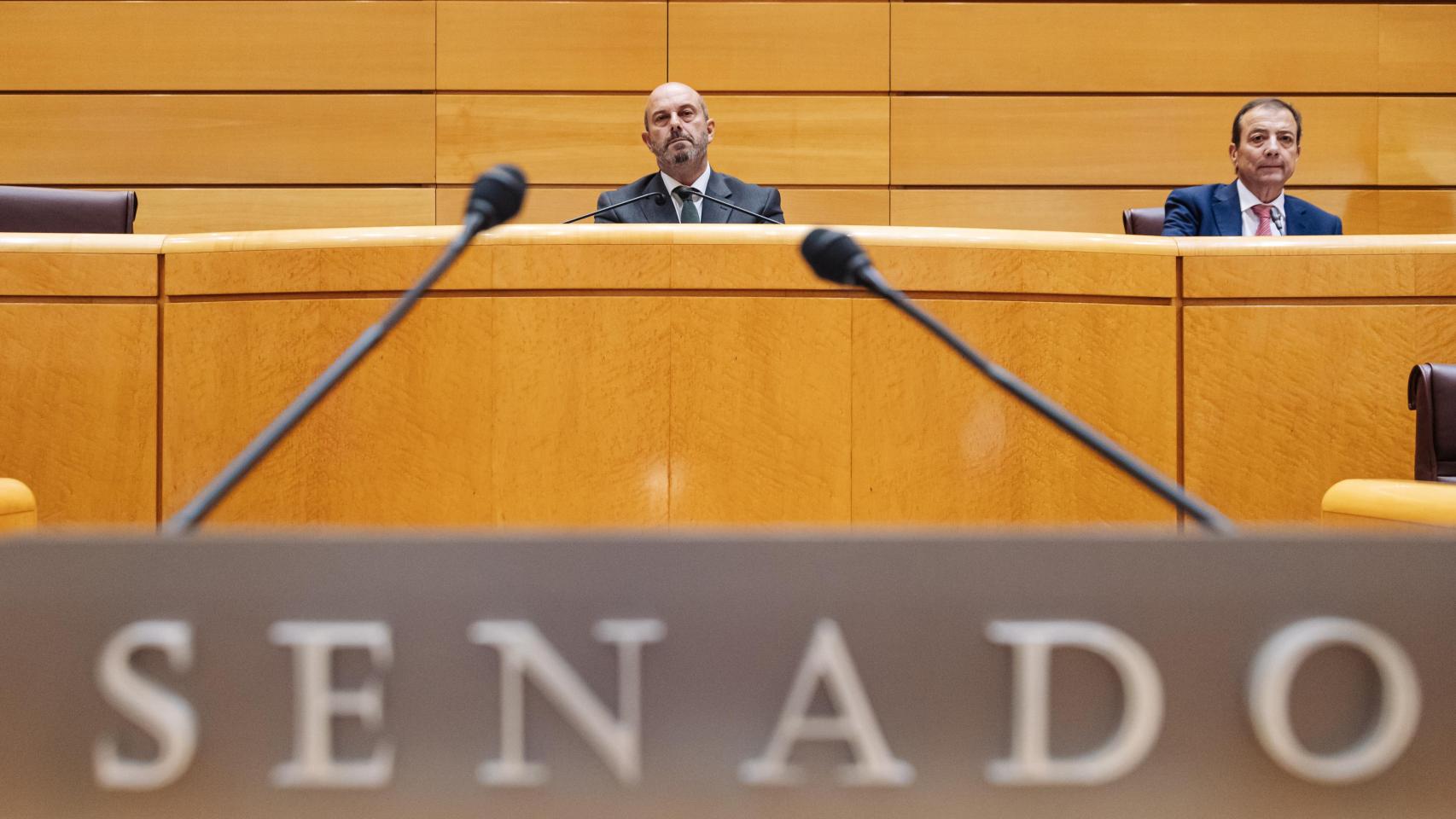 El presidente del Senado, Pedro Rollán.