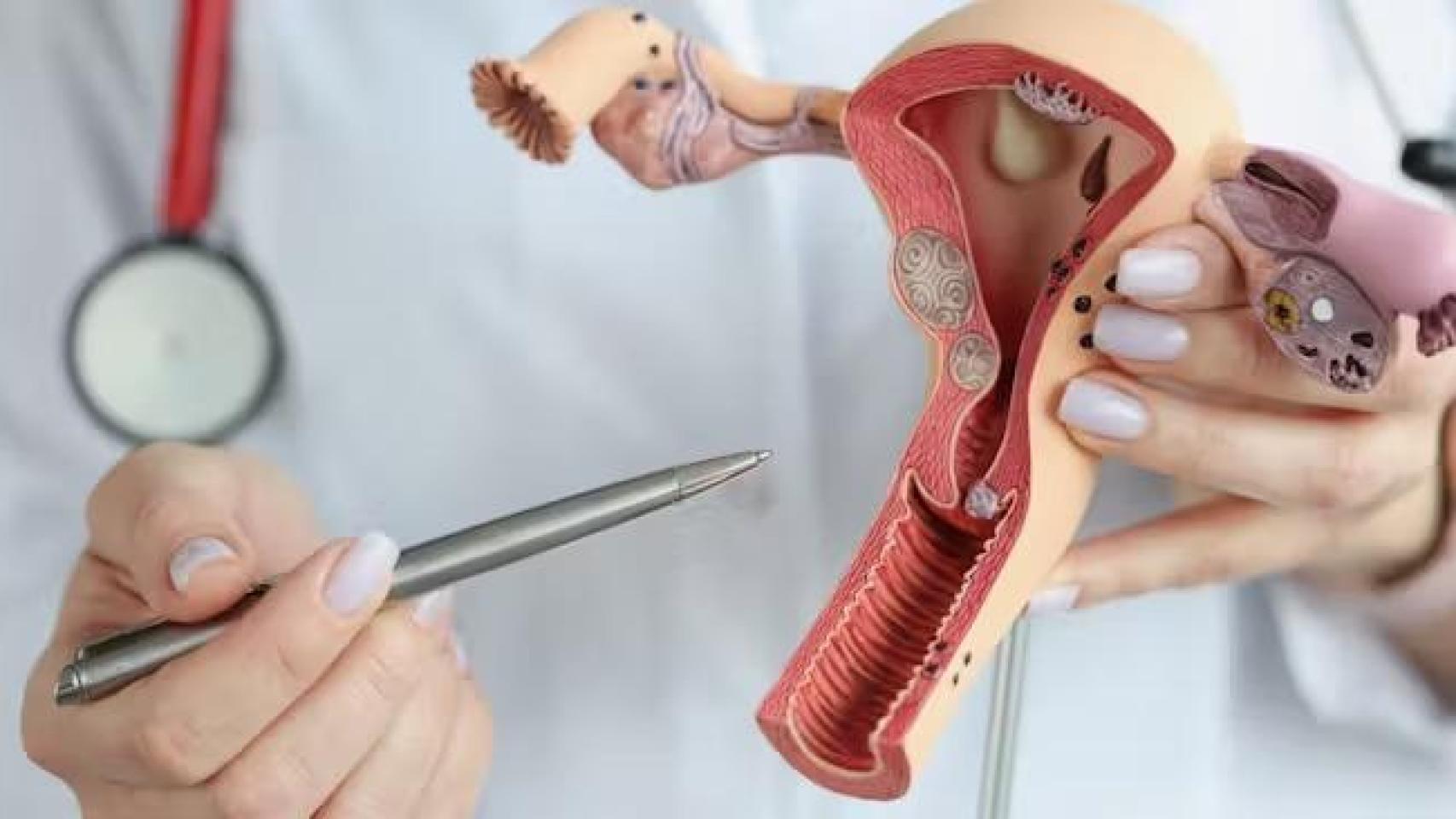 Entre el 1,8% y el 5,8% de las pacientes desarrolla trastorno dismórfico premenstrual.