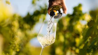 La escapada de ensueño en las Rías Baixas para amantes del vino: "El enoturismo se practica sin prisa"