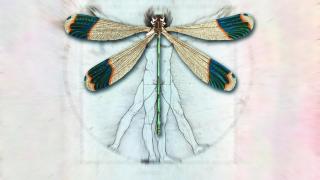 El mundo de Carlos López-Otín y la fragilidad de la salud mental