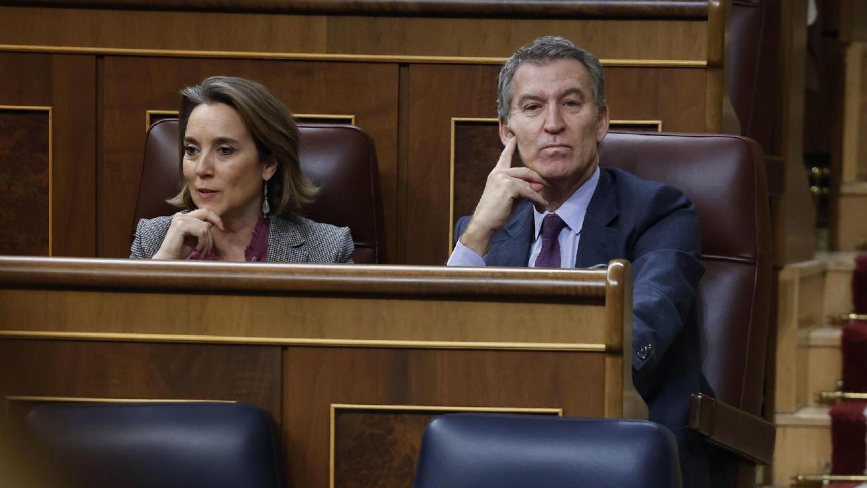 La secretaria general del PP, Cuca Gamarra, y el presidente del partido, Alberto Núñez Feijóo, este jueves en el Congreso.