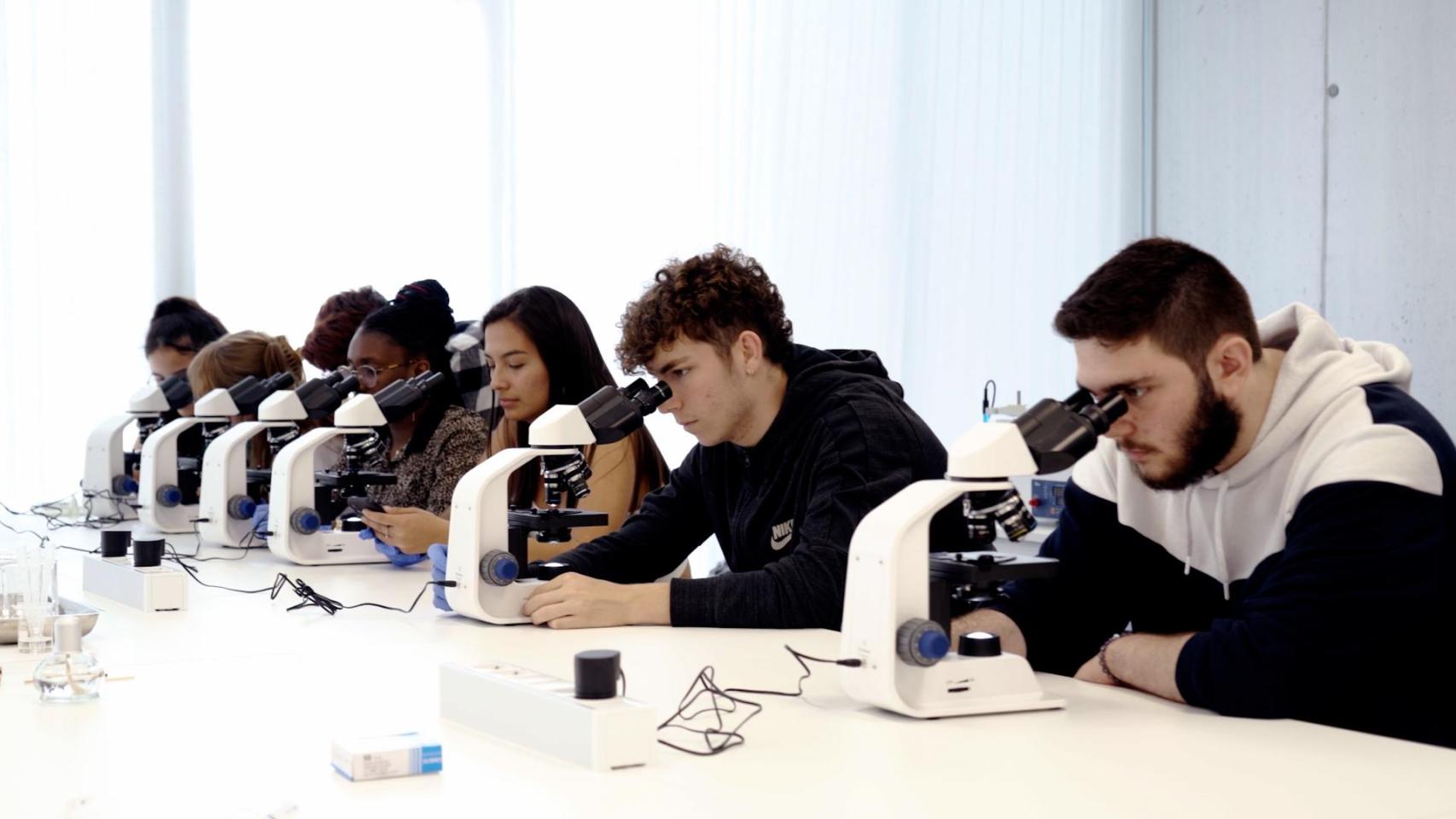 Formación profesional.