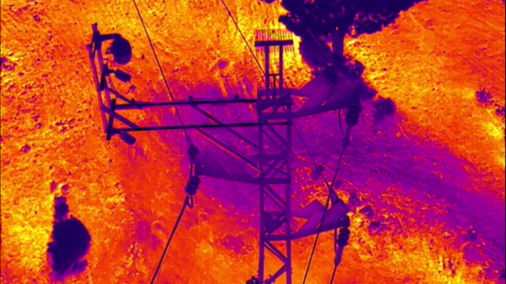 Mapa térmico de uno de los sensores del proyecto Resisto de Endesa en Doñana.