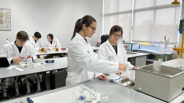 Colegio Internacional Eirís (A Coruña).