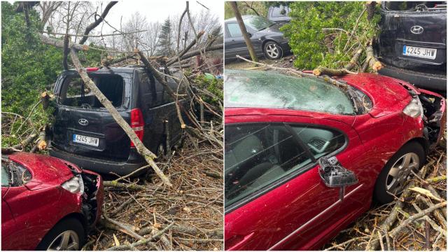 En árbol cae sobre varios coches en Culleredo (A Coruña)