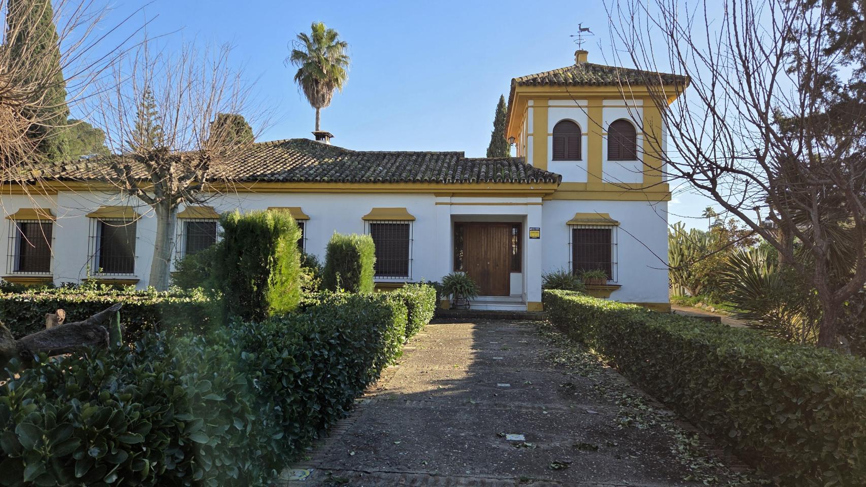 Probamos las cámaras de los Galaxy S25 y S25+