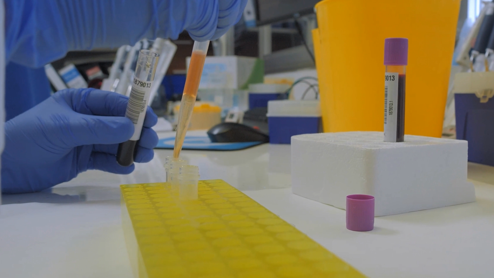 Laboratorio de Amadix.