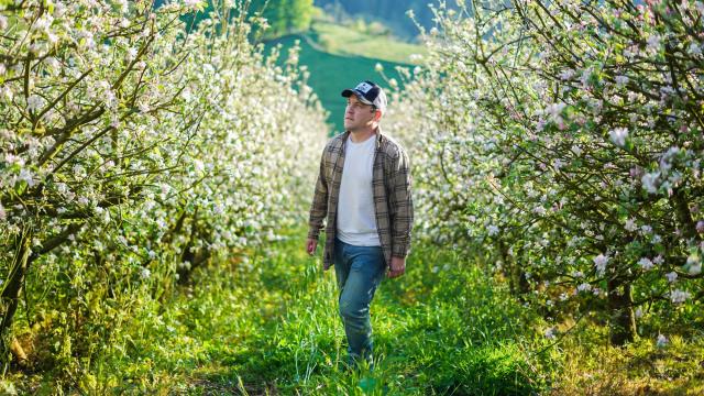 El 'pommelier' Haritz Rodríguez en un manzanal.