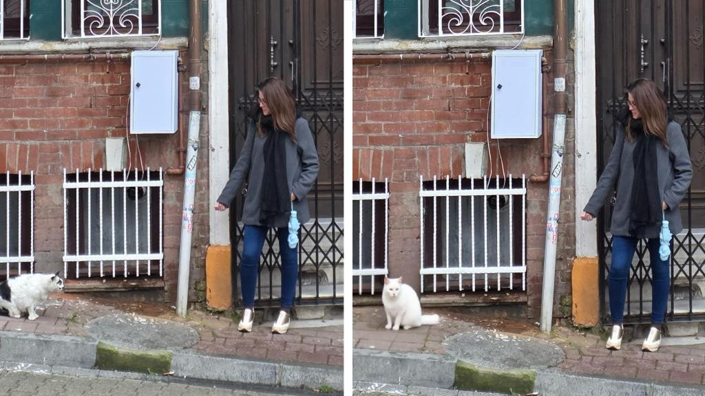 Imagen original (izda) : Imagen editada con IA (dcha)