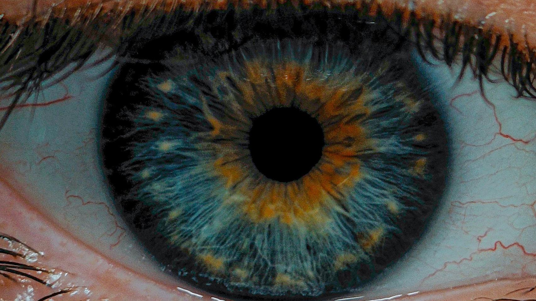 Fotografía macro tomada con un Nothing Phone (3a)