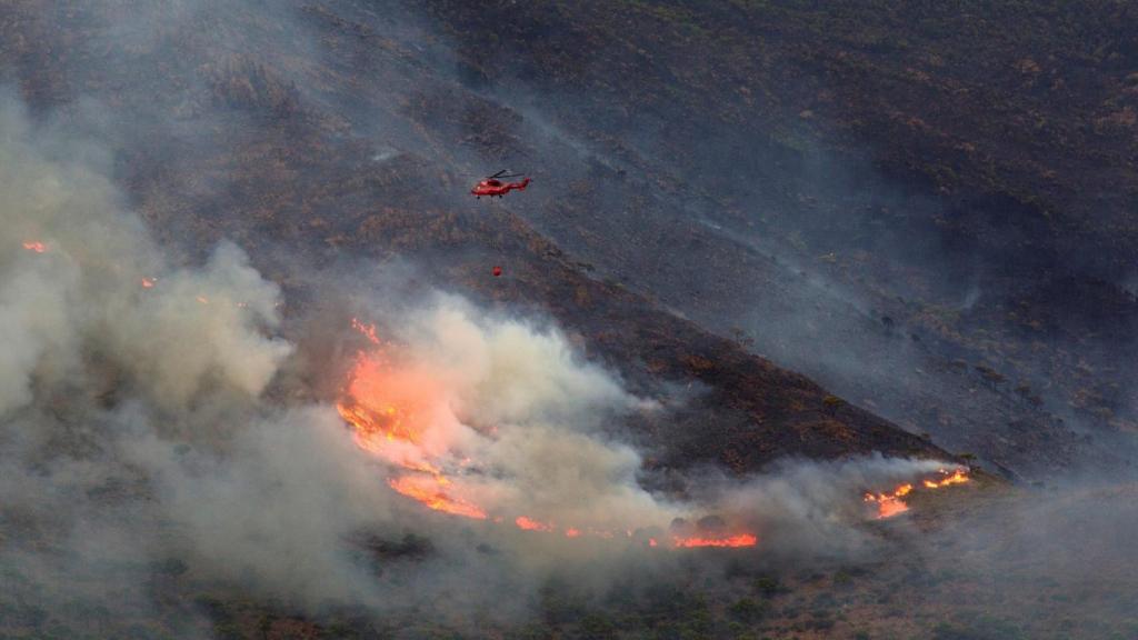 Varios medios intentan extinguir el incendio de Sierra Bermeja, en Málaga.