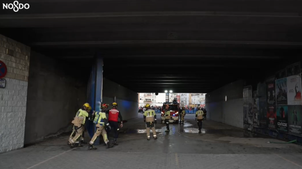 Bomberos de Sevilla han sido los encargados.