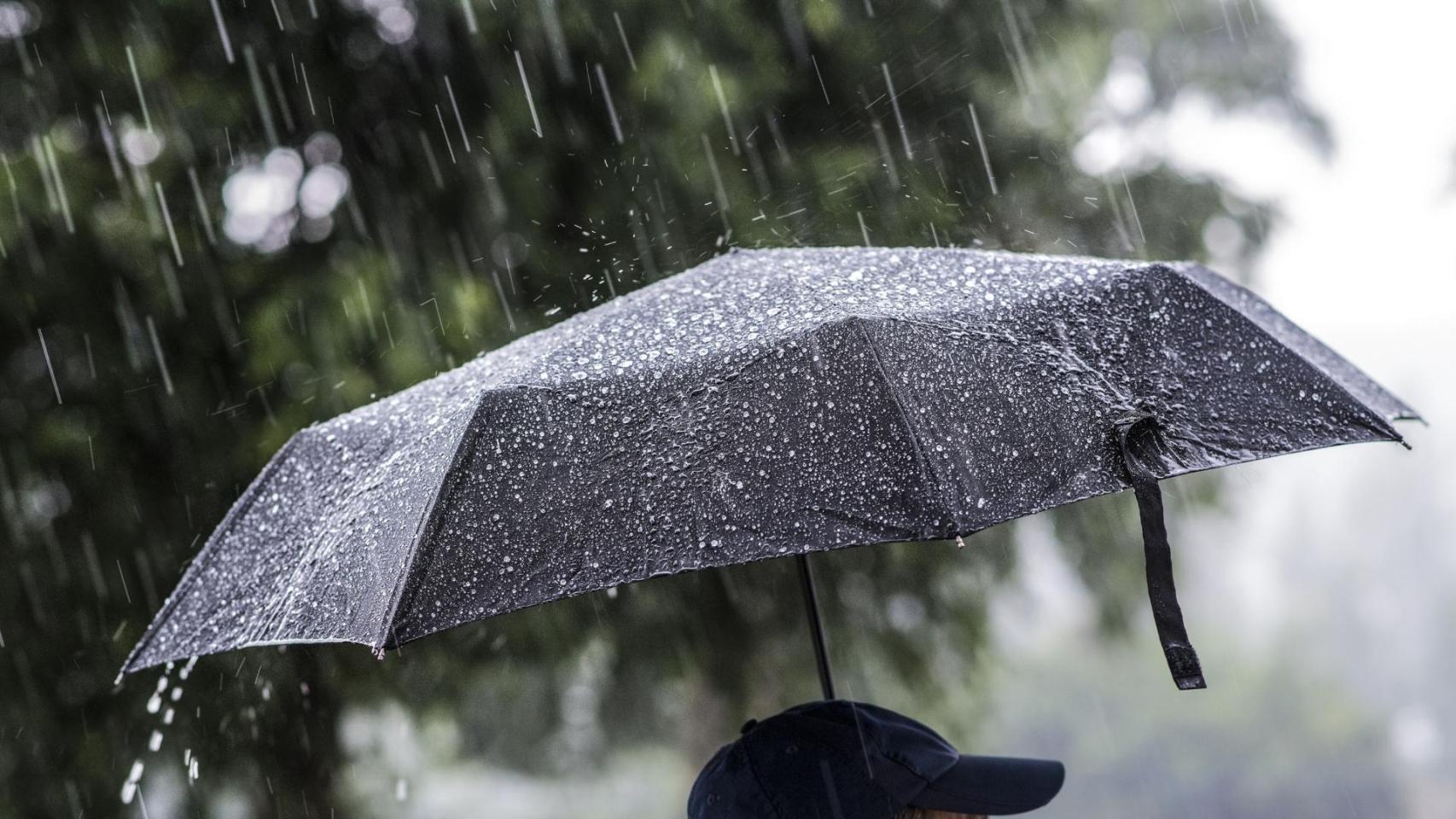 Un paraguas bajo la lluvia