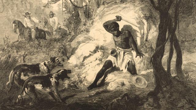 Cimarrón sorprendido en un monte por los perros de los 'arranchadores'. Copia del cuadro de Víctor Patricio Landaluze. Colección MMB