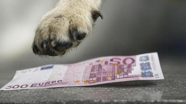 Imagen de archivo de un perro con unos billetes.