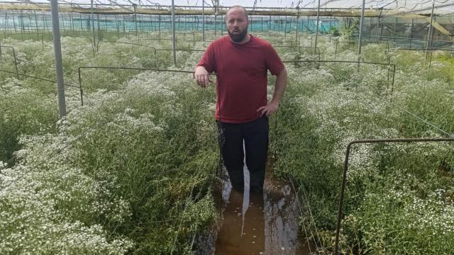 Jesús en su invernadero de flor cortada en Chipiona inundado tras las fuertes lluvias.