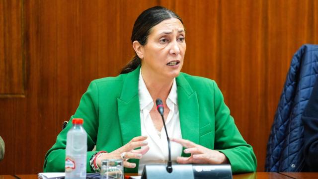 Loles López, consejera de Igualdad de Andalucía, este jueves en el Parlamento.