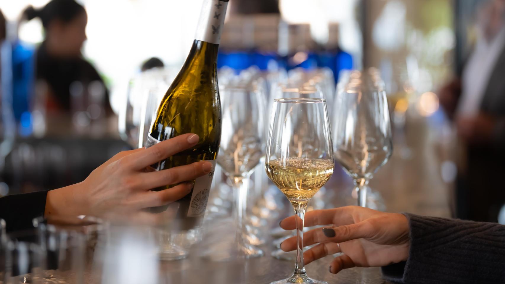 Un camarero sirve copas de vino blanco en un bar, 21 de febrero de 2024, en Barcelona, Catalunya (España).