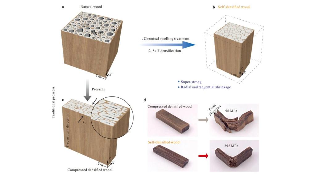 Diagrama de la madera superresistente autodensificada