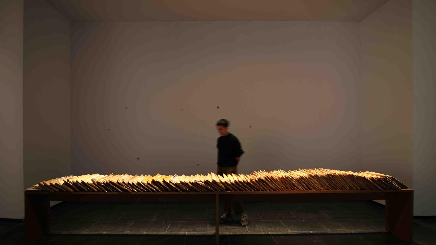 'Región de validez', 2017. Foto: Sue Ponce