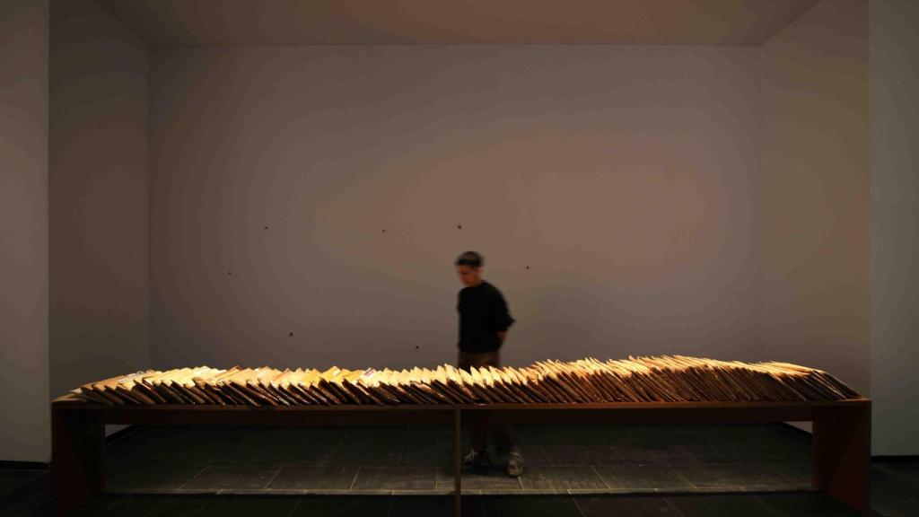 'Región de validez', 2017. Foto: Sue Ponce