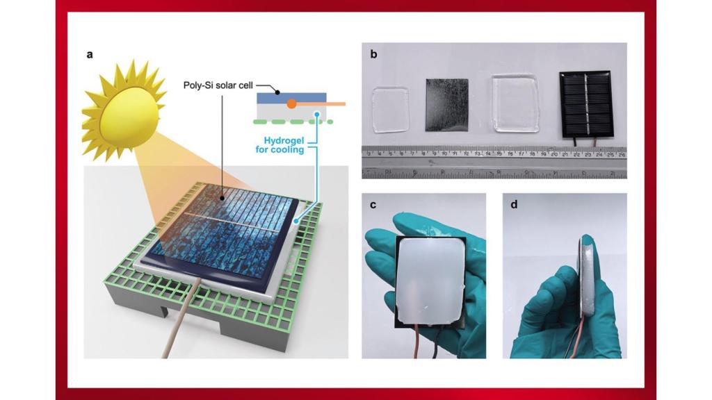 Diagrama de la investigación del equipo del VISTEC
