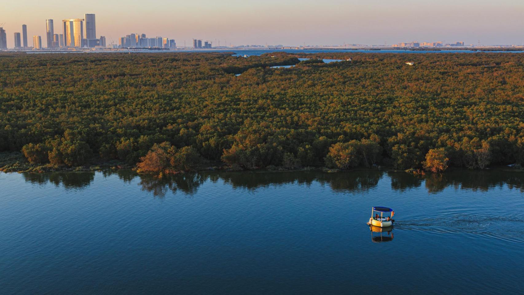 Humedales boscosos en Abu Dabi.