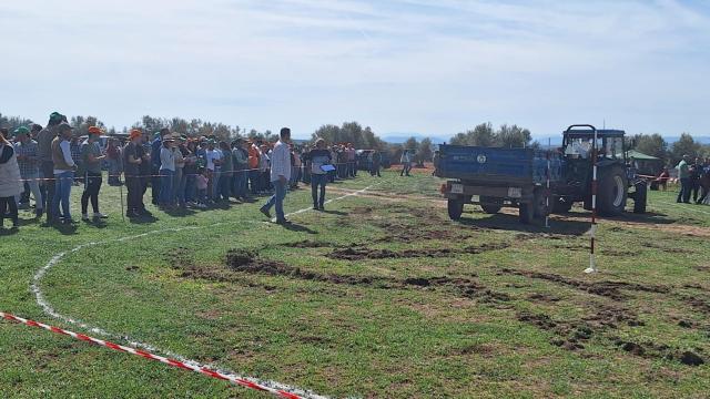 Concurso de Habilidad con Tractor en Mora (Toledo)