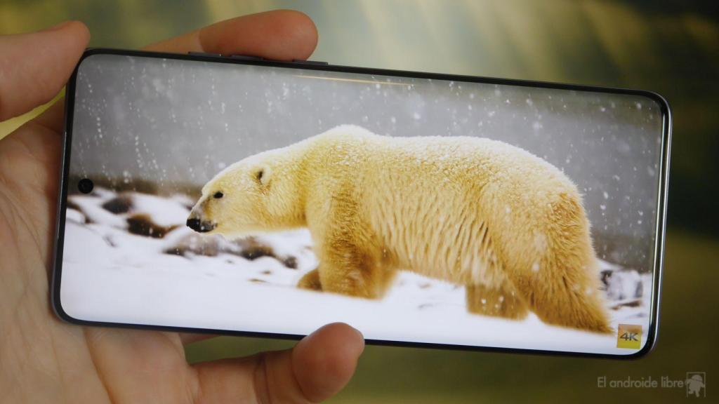 Motorola Edge 60 Fusion