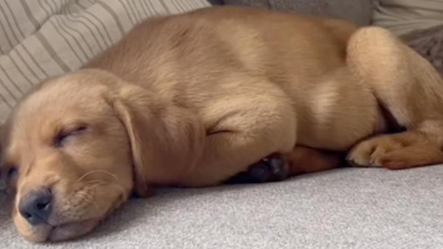 Captura de pantalla 2025-04-10 a las 23.40.38