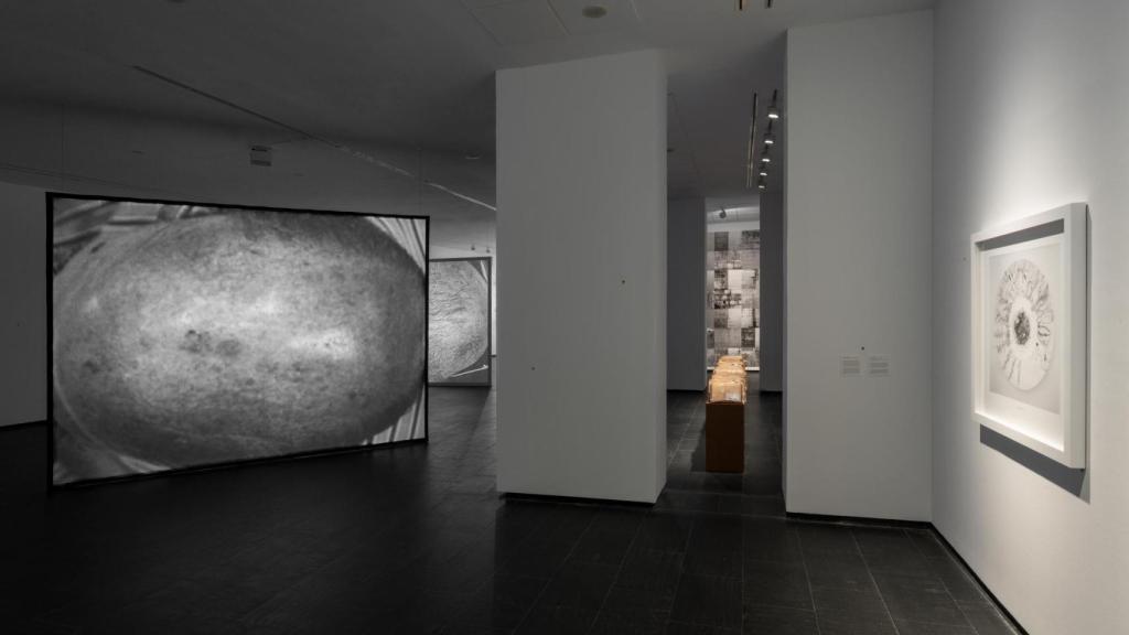 Vista de la exposición, con una obra de la serie 'Hombre sentados' a la izquierda.