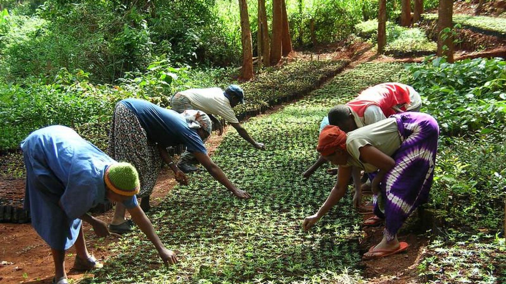 Varias mujeres del GBM.