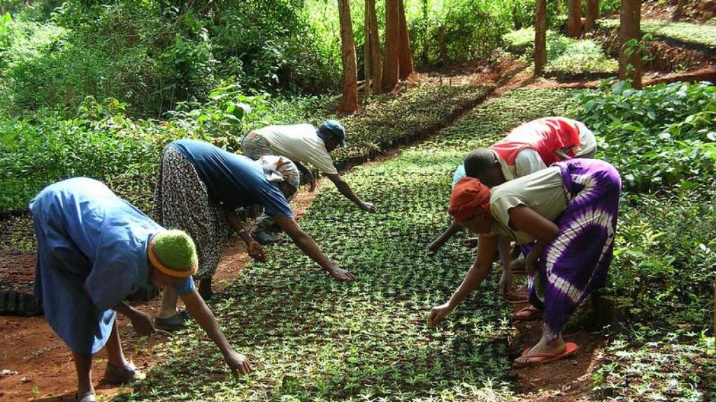 Varias mujeres del GBM.