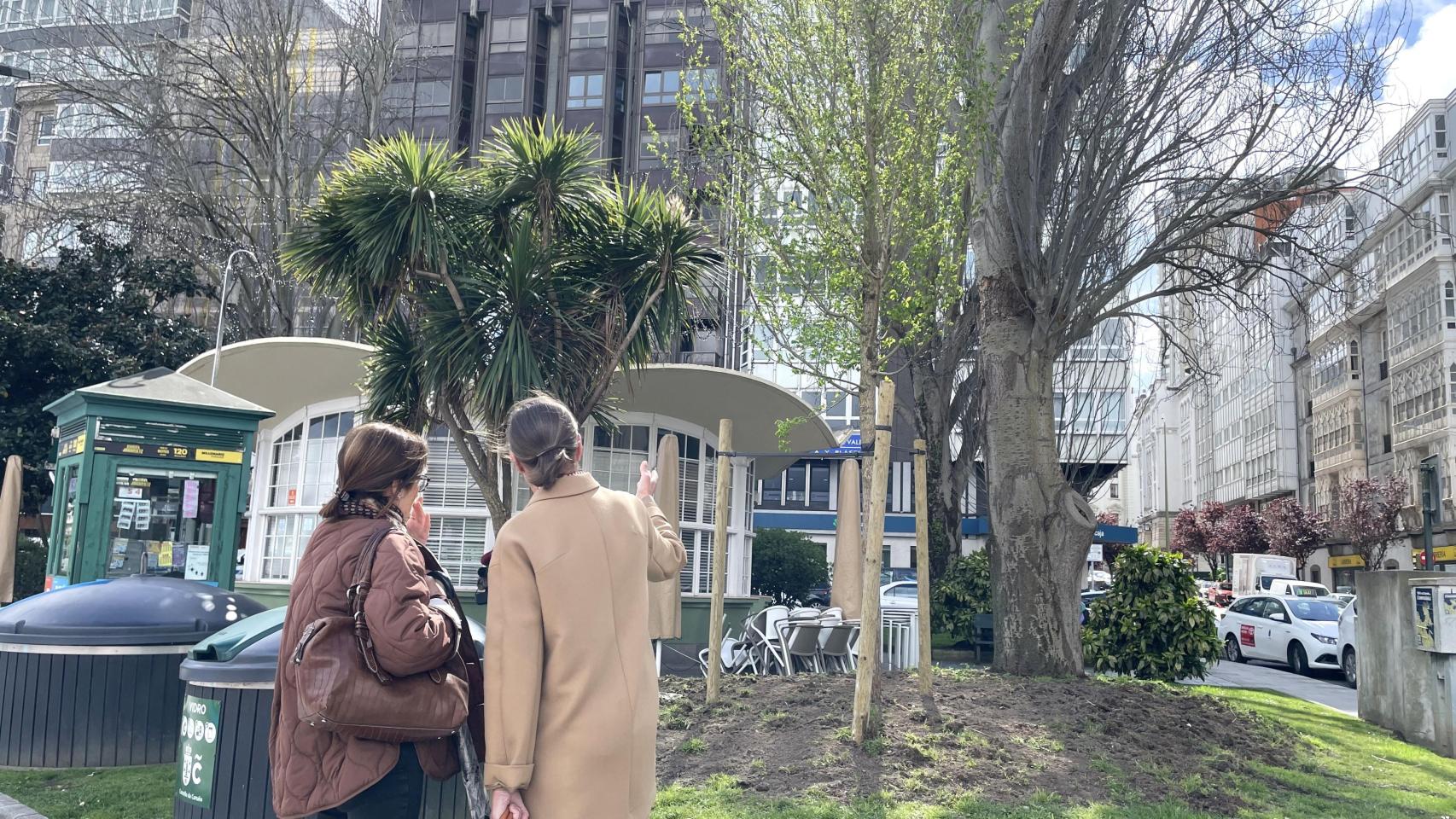 Dos personas observando los árboles de la plaza de Ourense.