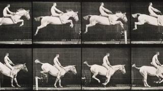 Eadweard Muybridge: 'Animal locomotion, imagen 643, 1887. Foto: MUN