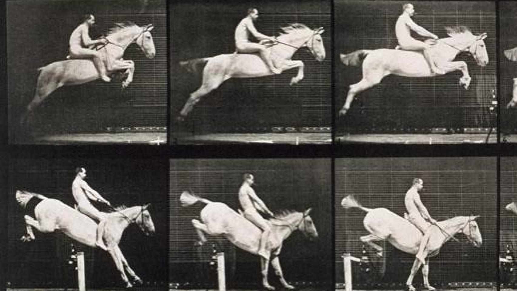 Eadweard Muybridge: 'Animal locomotion, imagen 643, 1887. Foto: MUN