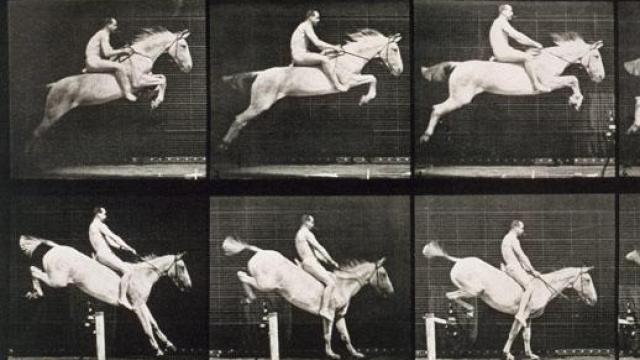 Eadweard Muybridge: 'Animal locomotion, imagen 643, 1887. Foto: MUN