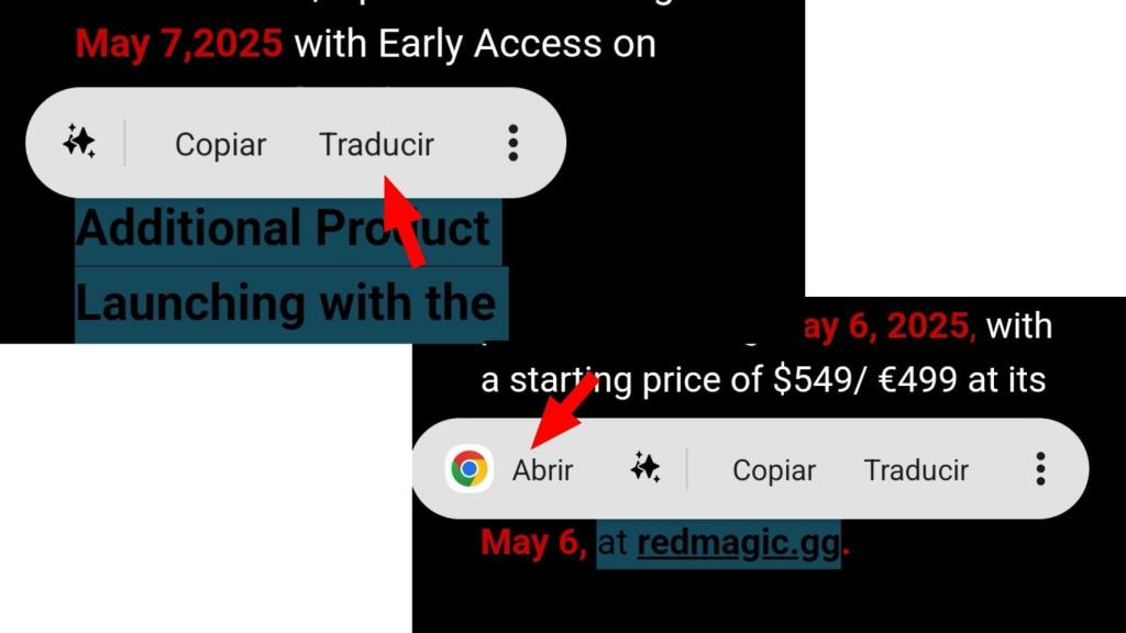 Opciones de web y traducción