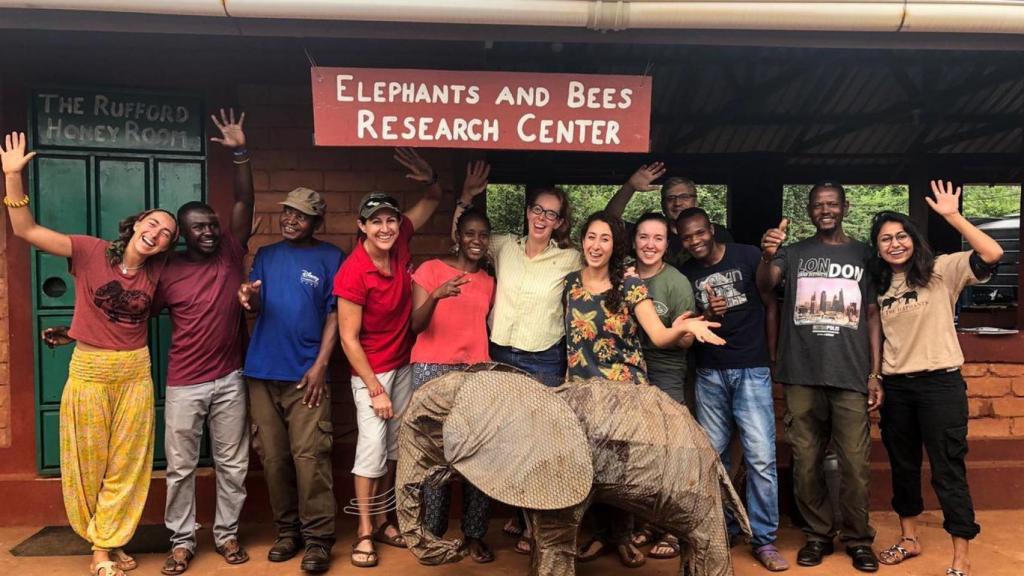 Equipo de Elephants & Bees, enero 2019.