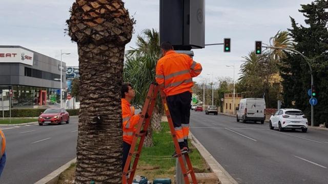 Los técnicos instalando los nuevos radares en la ciudad de Alicante.