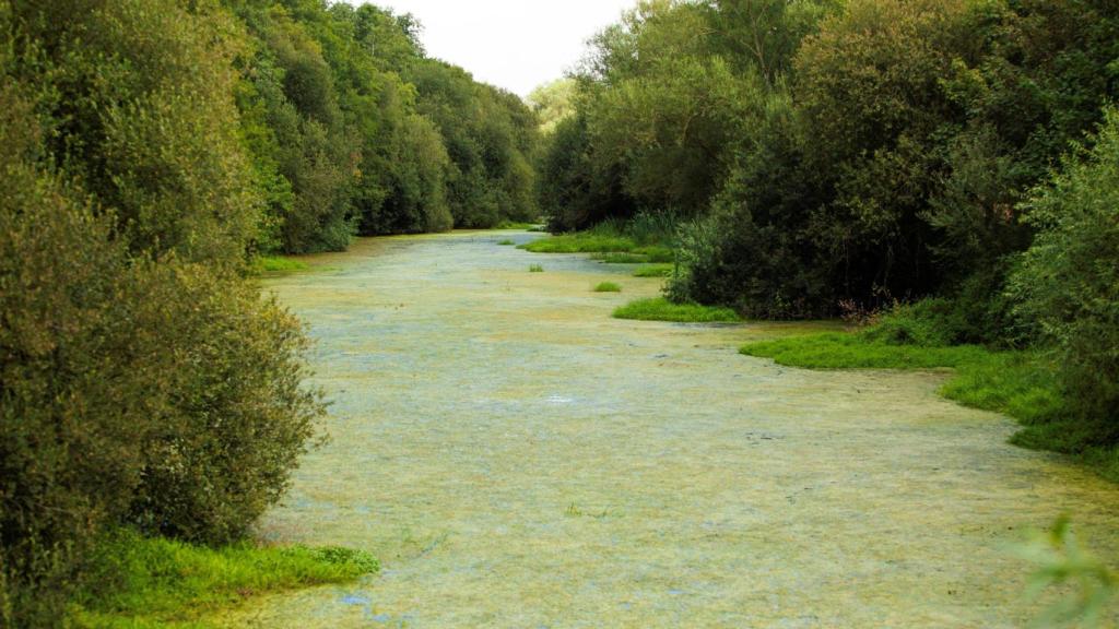 Vista del río Limia a su paso por As Conchas.