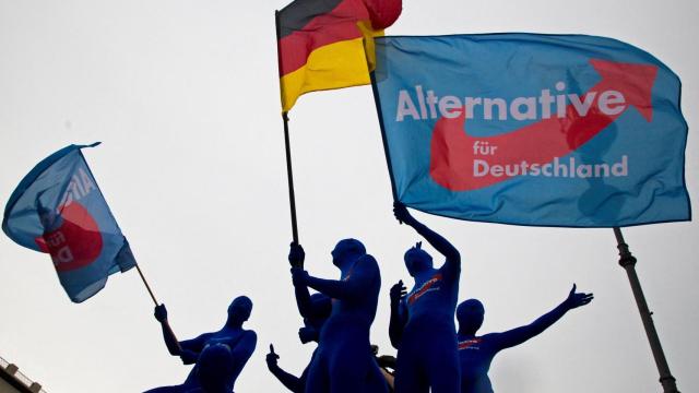 El servicio secreto alemán declara al partido de ultraderecha AFD contrario a la Constitución y abre la puerta a ilegalizarlo