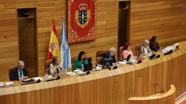 El Parlamento gallego aprueba por unanimidad pedir que el gallego se use en la Eurocámara