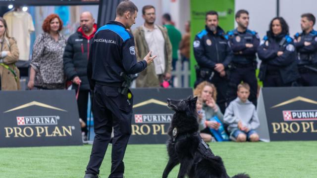 Exhibición de la unidad canina de la Policía Local de A Coruña en Pata Pata 2025