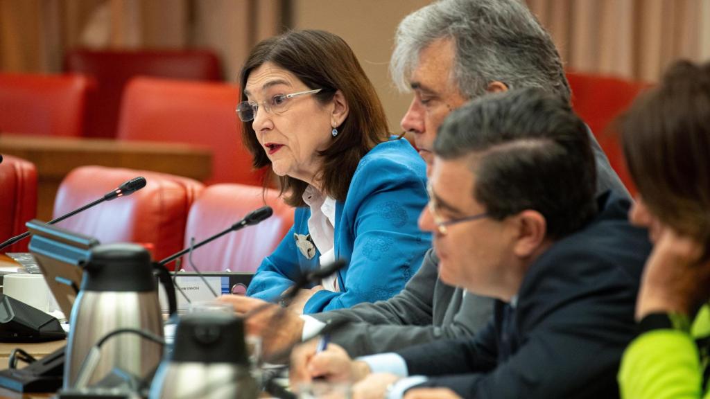 Cani Fernández, presidenta de la CNMC, el martes durante su comparecencia en la Comisión de Economía del Congreso.