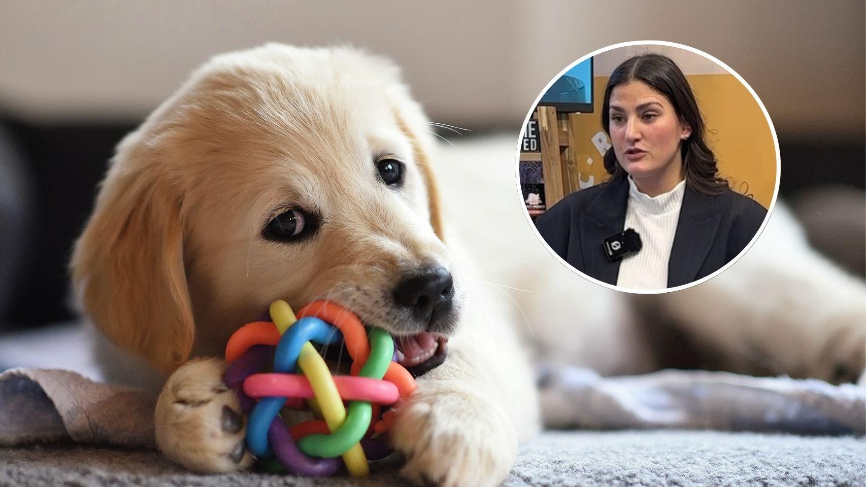 La experta aclara el peligro de estos objetos.