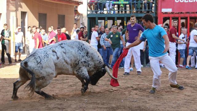 Imagen de 'bous al carrer'. JJ Diago