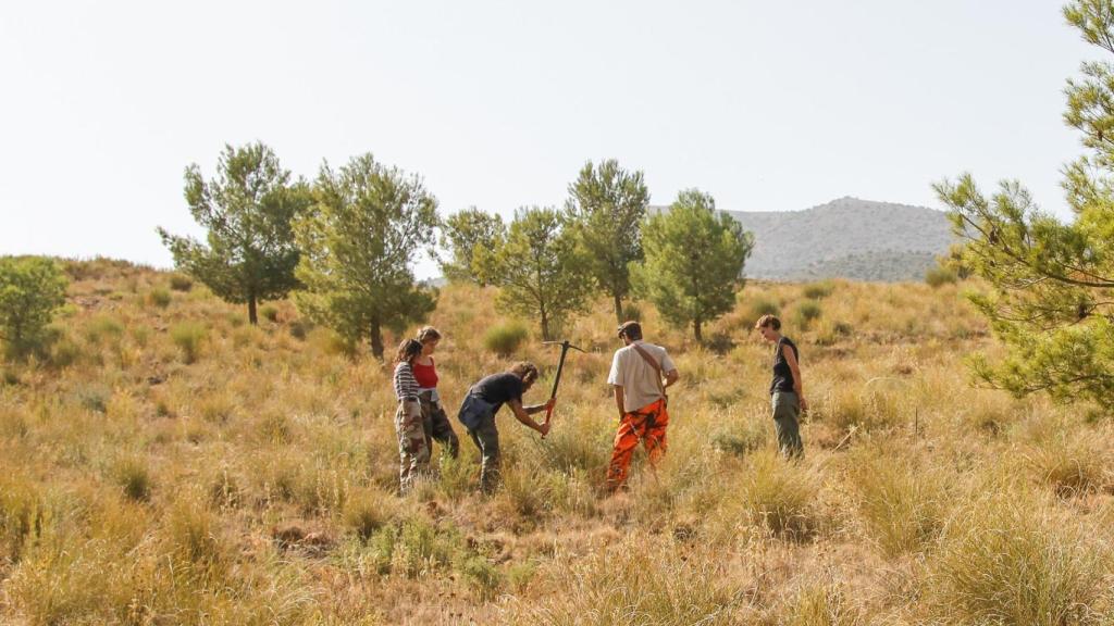 Proceso de sembrado de la iniciativa 'Semillistas'.